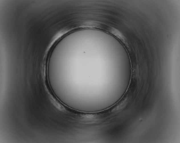 X0000086901130200704161308