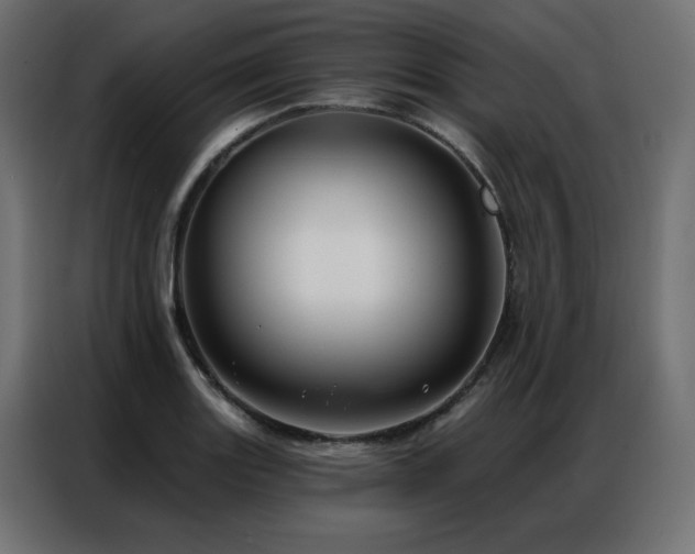 X0000086901131200704161308