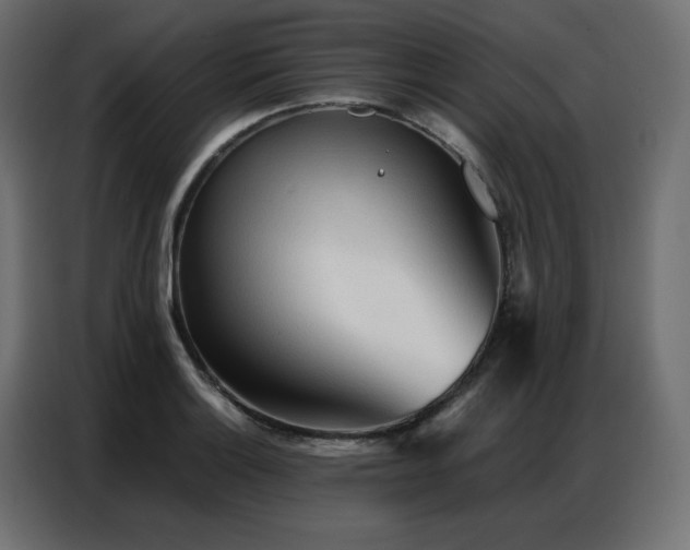 X0000086901132200704161308