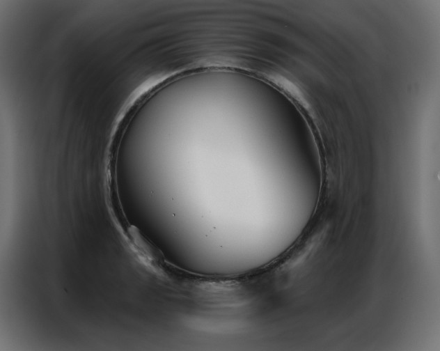 X0000086901133200704161308