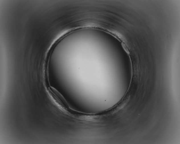 X0000086901134200704161308