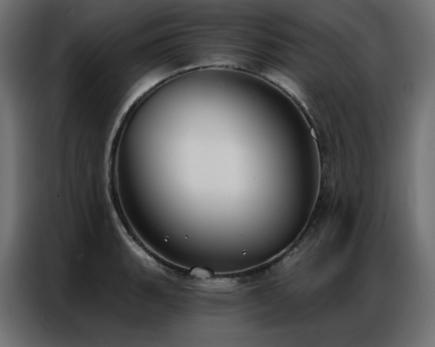 X0000086901135200704161308
