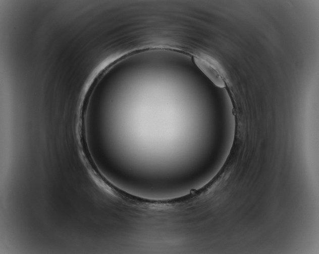 X0000086901136200704161308
