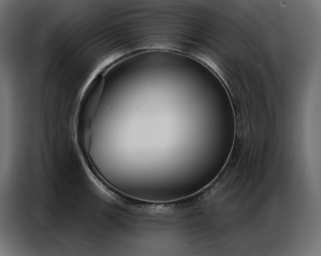 X0000086901139200704161308