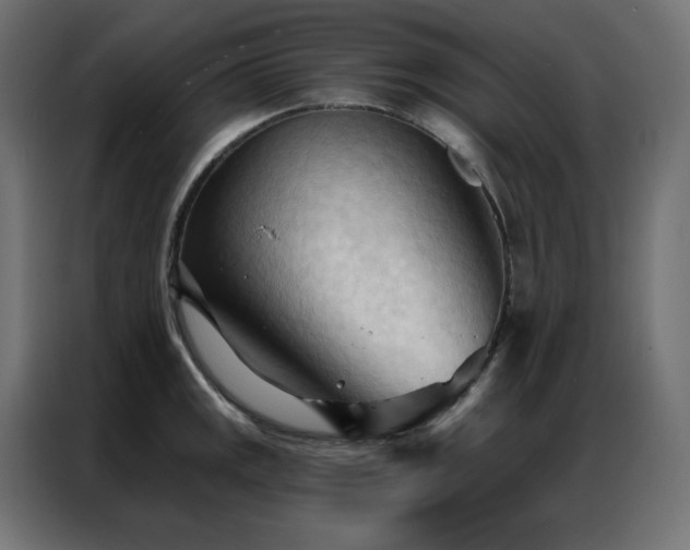 X0000086901141200704161308