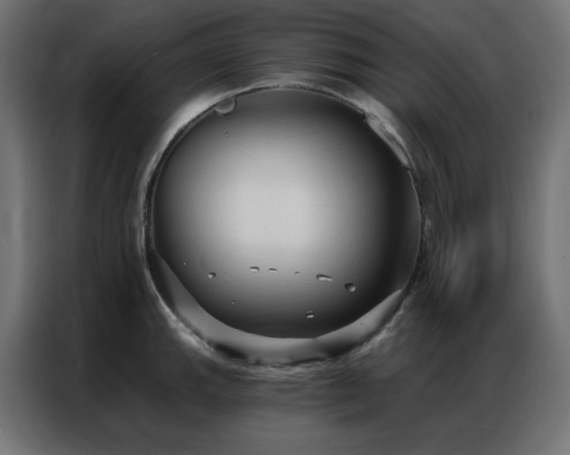 X0000086901143200704161308