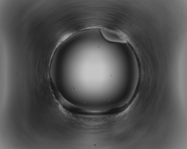 X0000086901145200704161309