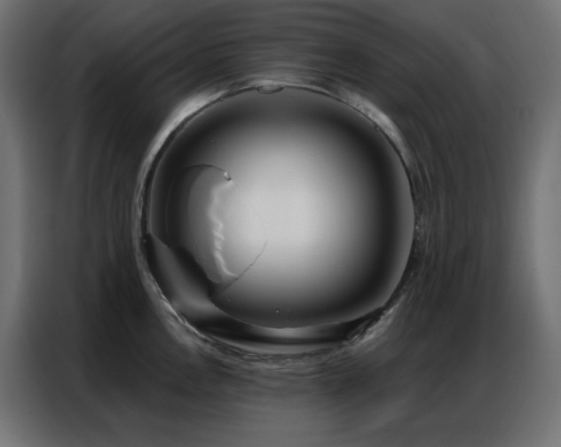 X0000086901146200704161309