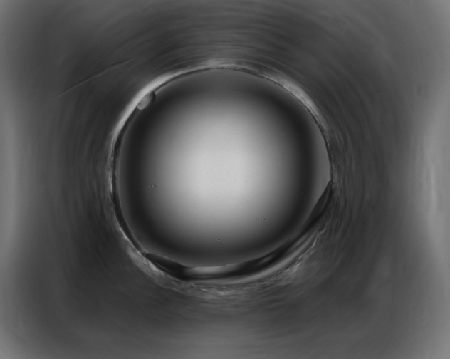 X0000086901148200704161309