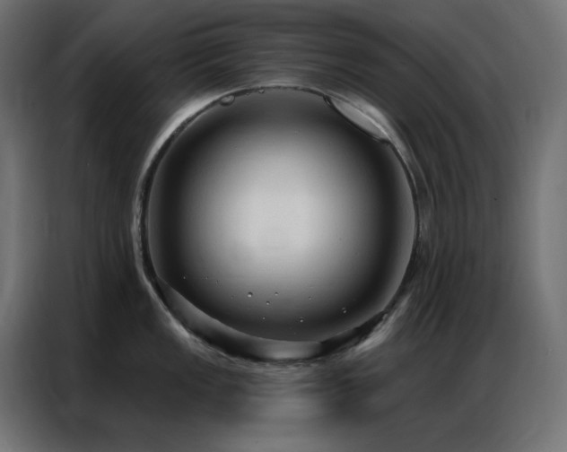 X0000086901149200704161309