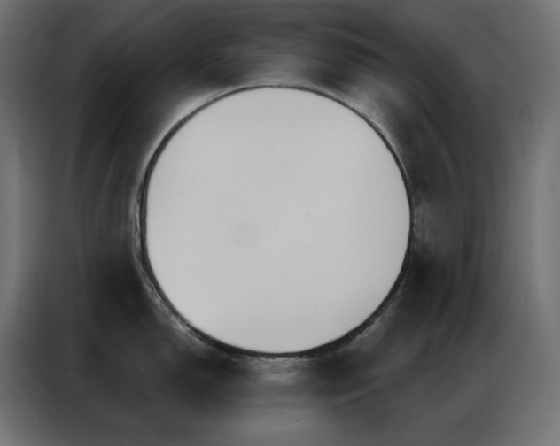 X0000086901150200704161309