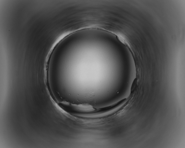 X0000086901151200704161309