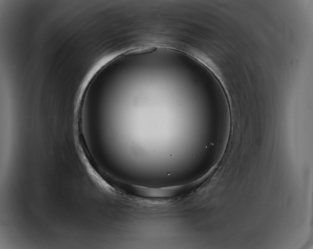 X0000086901152200704161309