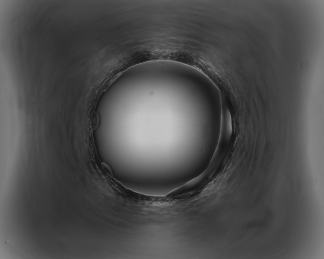 X0000086901153200704161308