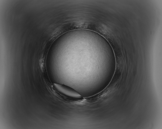 X0000086901154200704161308