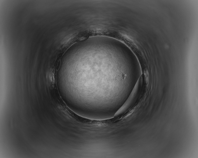 X0000086901155200704161308