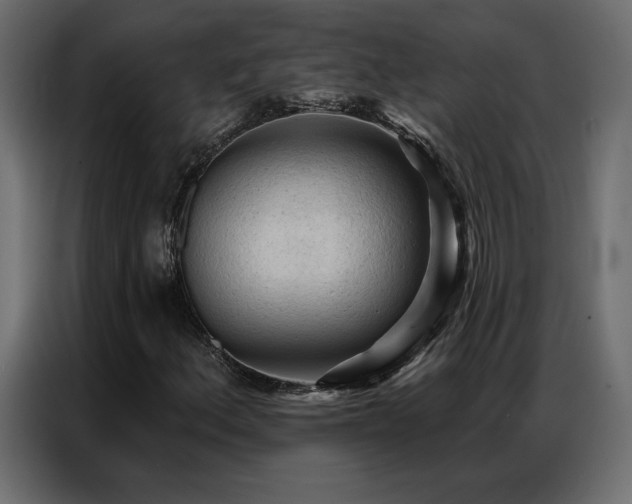 X0000086901156200704161308