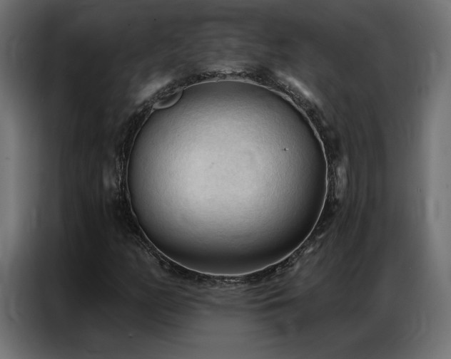 X0000086901158200704161308