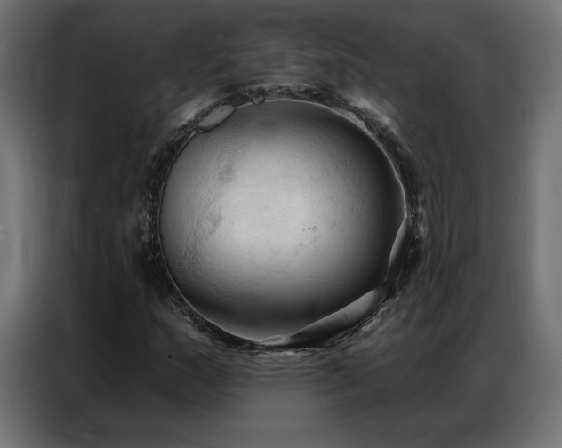 X0000086901159200704161308