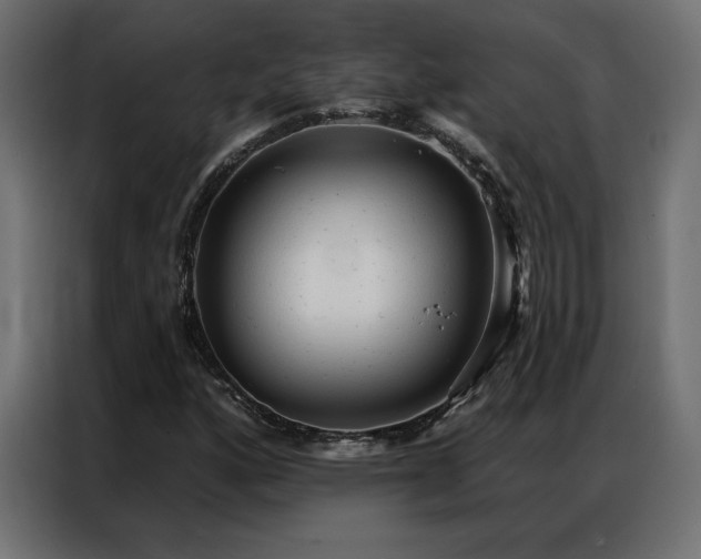 X0000086901160200704161308