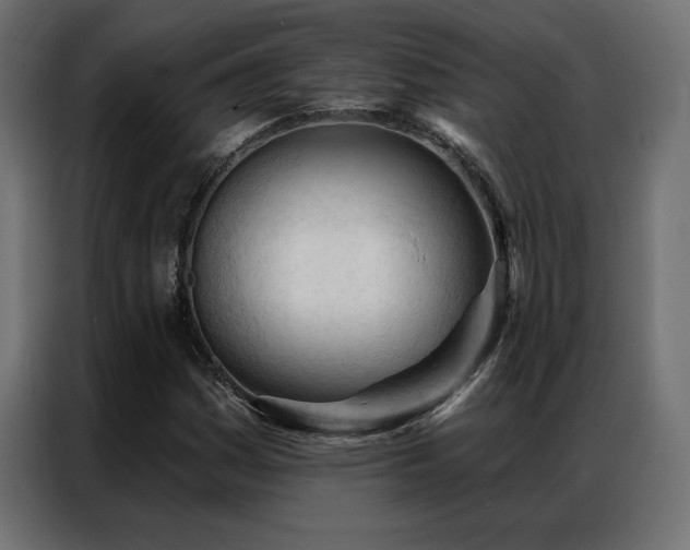 X0000086901161200704161308