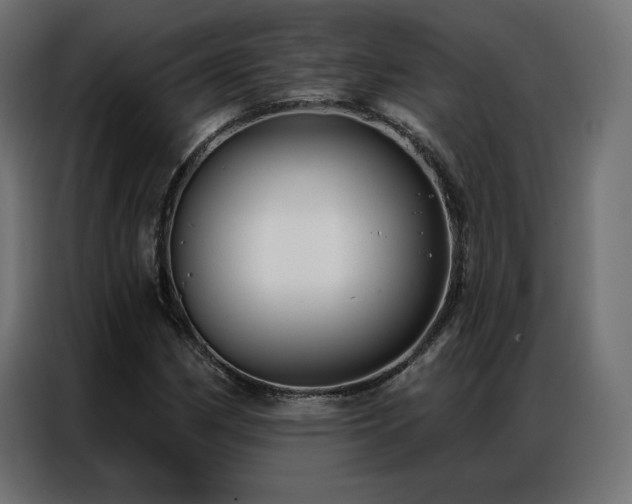 X0000086901162200704161308