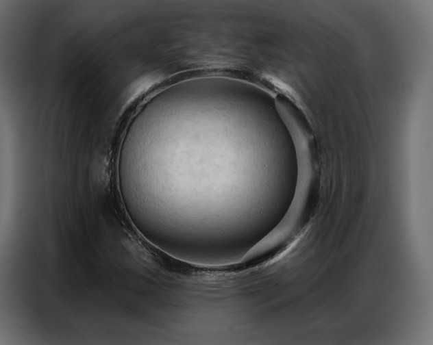 X0000086901163200704161308