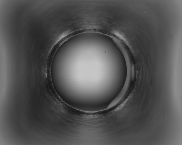 X0000086901165200704161308