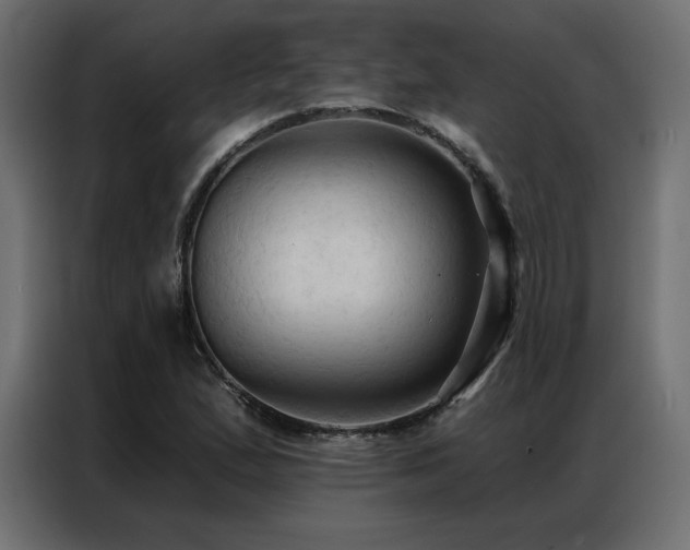 X0000086901167200704161307