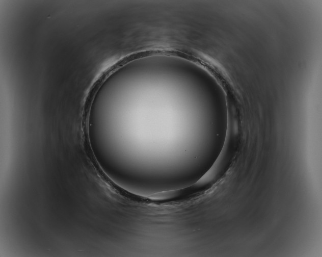 X0000086901168200704161307