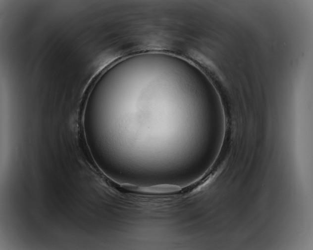 X0000086901170200704161307