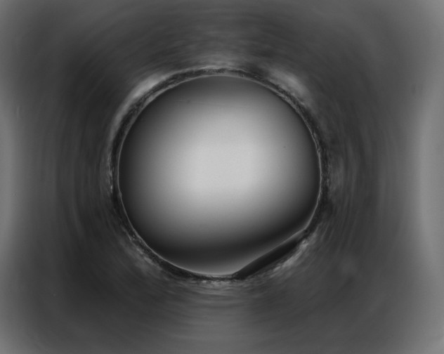 X0000086901172200704161307