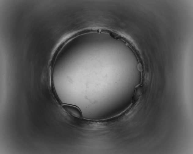 X0000086901175200704161307