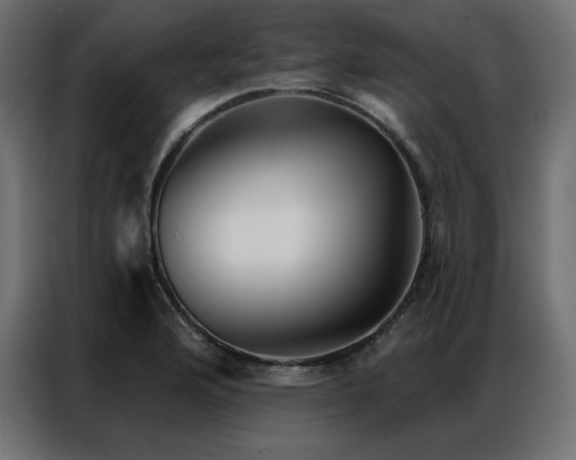 X0000086901176200704161307