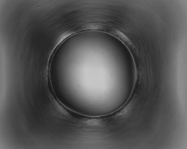 X0000086901178200704161307