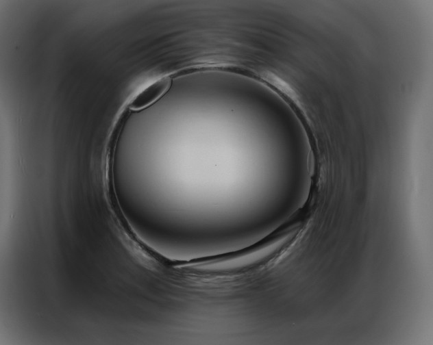 X0000086901179200704161307