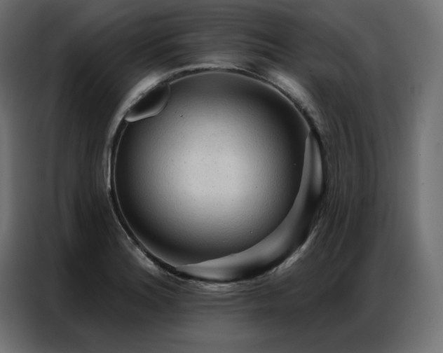 X0000086901180200704161307