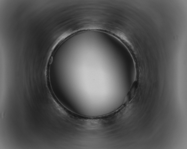 X0000086901181200704161307