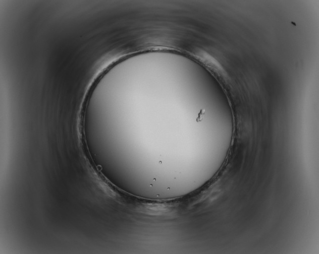 X0000086901182200704161307