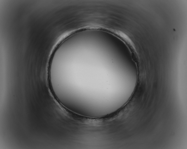 X0000086901183200704161307