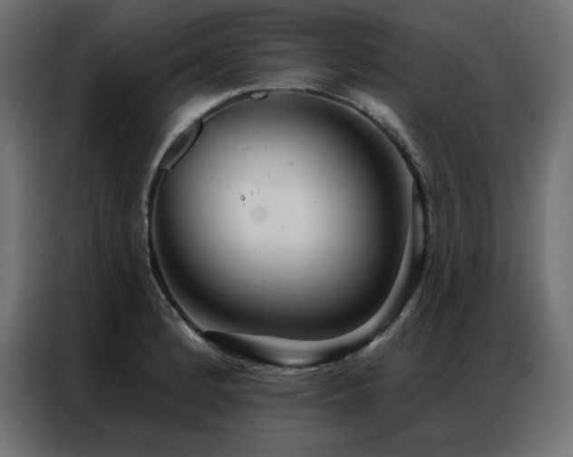 X0000086901184200704161307