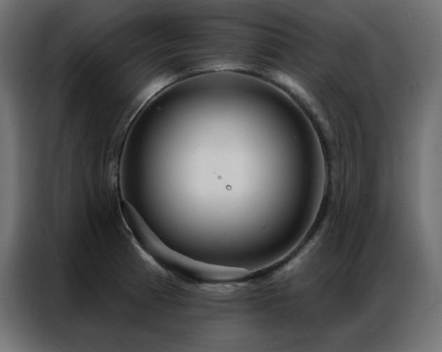 X0000086901185200704161307