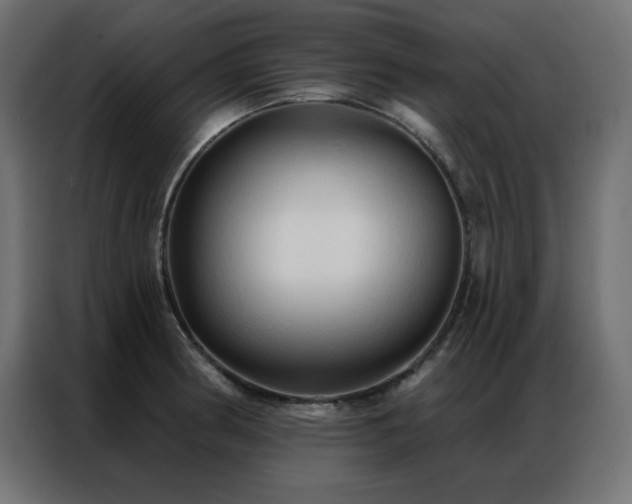 X0000086901186200704161307