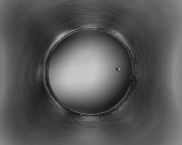 X0000086901187200704161307