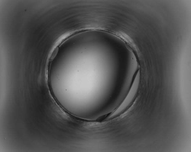 X0000086901188200704161307