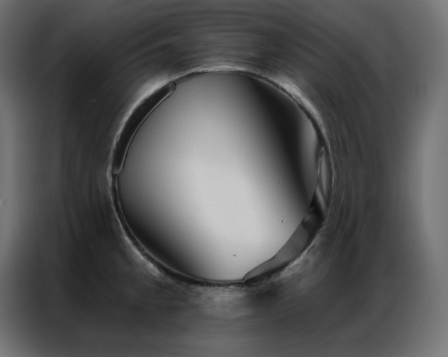 X0000086901189200704161307