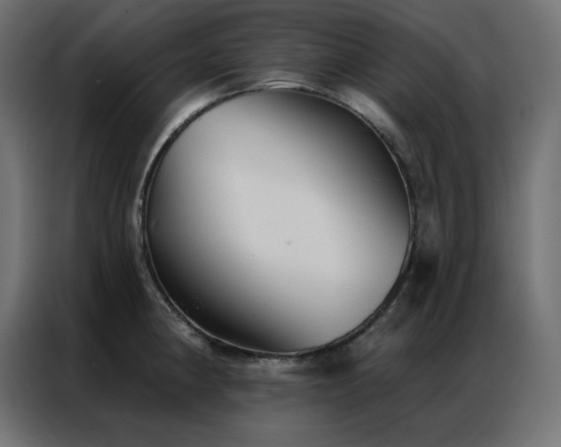 X0000086901190200704161307