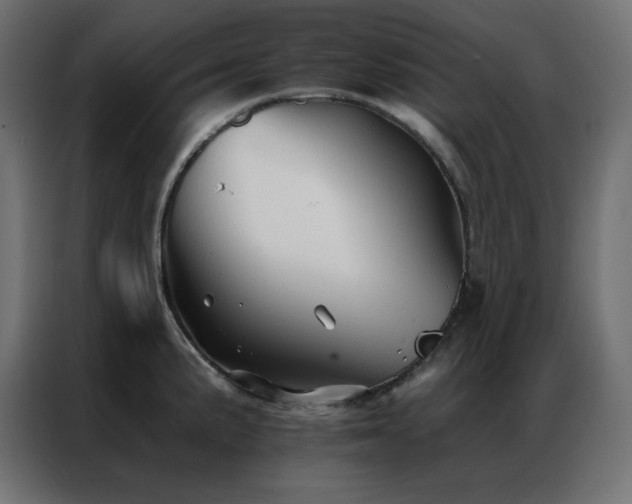 X0000086901191200704161307