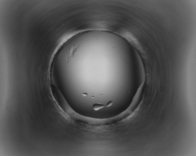 X0000086901192200704161307