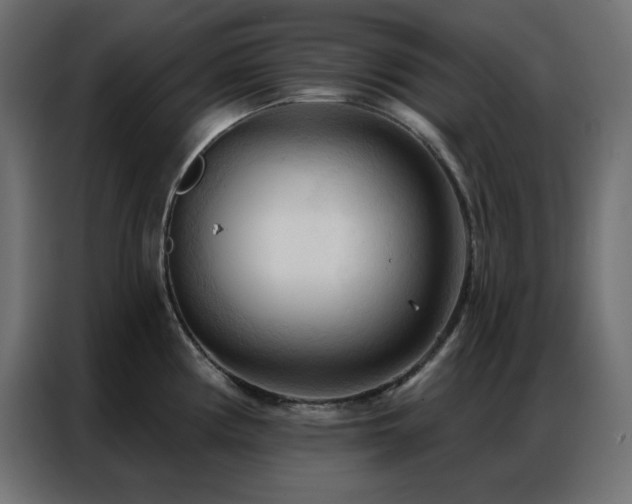 X0000086901194200704161307